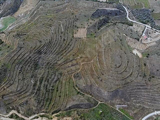 Alaşehir, Manisa içerisinde satılık Arsa