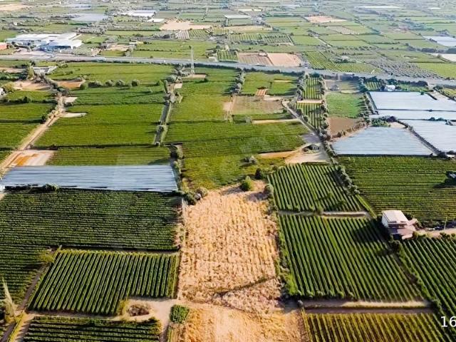 Alparslan Türkeş Meydanı, Alaşehir içerisinde satılık Arsa