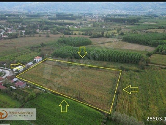 Düzce Merkez, Düzce içerisinde satılık Arsa