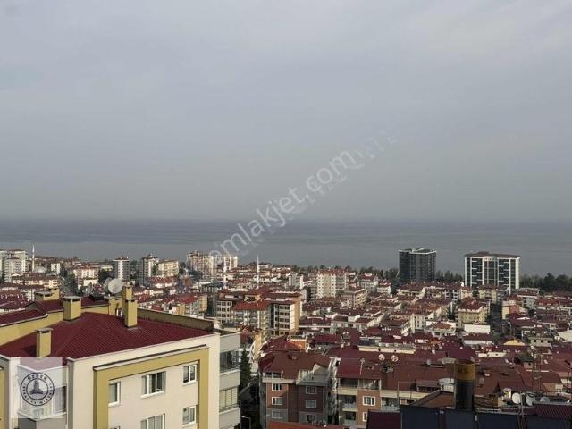 Teyyaredüzü, Giresun Merkez içerisinde kiralık mülk