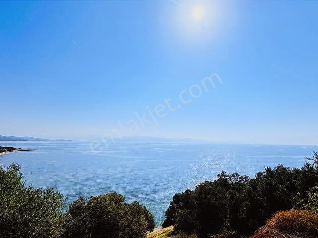 Menderes, İzmir içerisinde satılık Villa