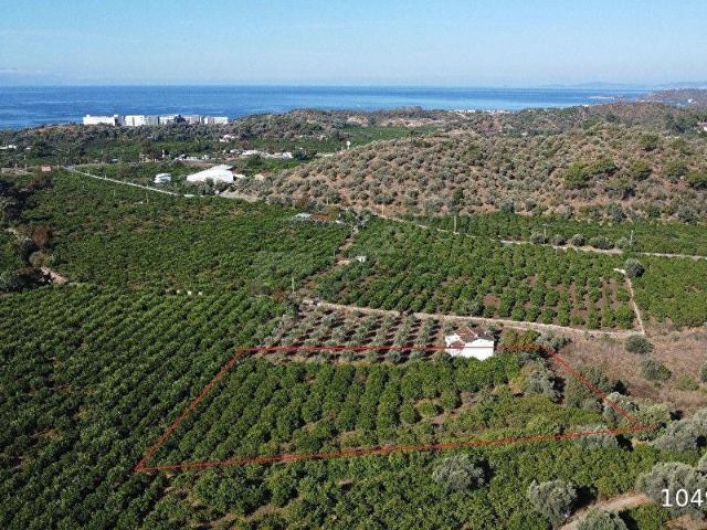 Menderes, İzmir içerisinde satılık mülk