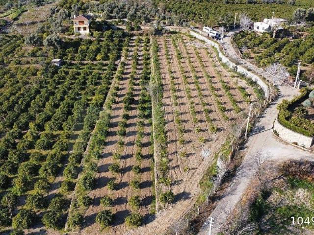 Menderes, İzmir içerisinde satılık mülk