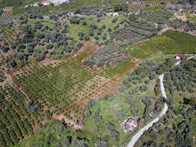 Menderes, İzmir içerisinde satılık Arsa