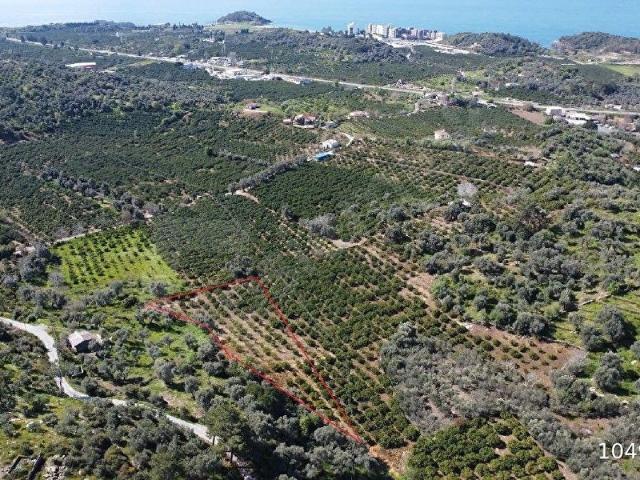 Menderes, İzmir içerisinde satılık mülk