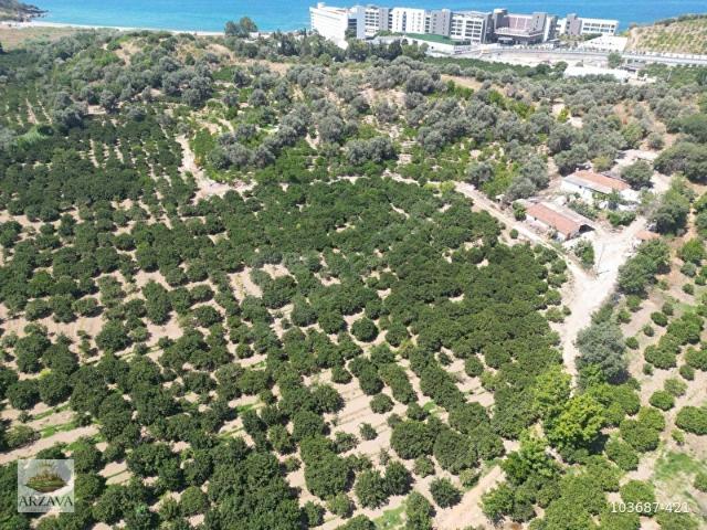 Menderes, İzmir içerisinde satılık Arsa
