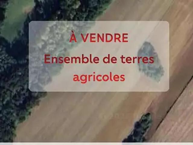 Terrain vente à Pau, Ozenx-montestrucq