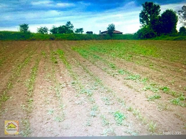 Kastamonu Merkez, Kastamonu içerisinde satılık Arsa