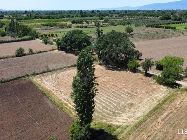Burhaniye, Balikesir içerisinde satılık Arsa