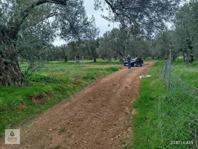 Burhaniye, Balikesir içerisinde satılık mülk