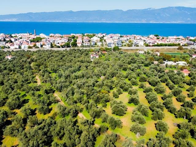 Burhaniye, Balikesir içerisinde satılık mülk