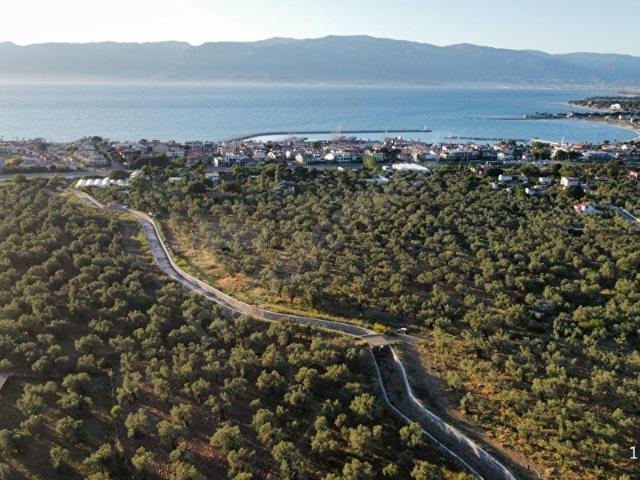 Burhaniye, Balikesir içerisinde satılık mülk