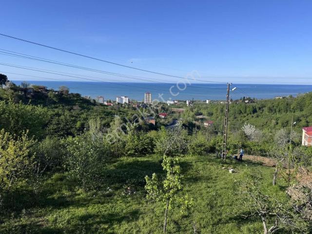 Beşikdüzü, Trabzon içerisinde satılık Villa