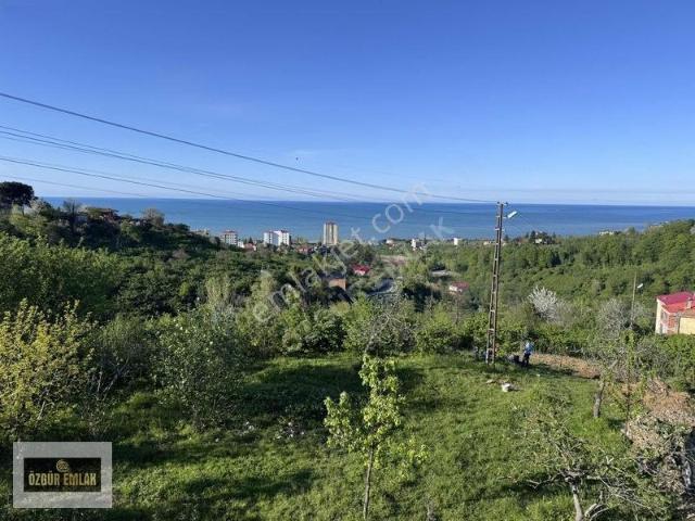 Beşikdüzü, Trabzon içerisinde satılık Villa