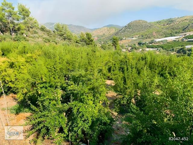Kumluca, Antalya içerisinde satılık mülk