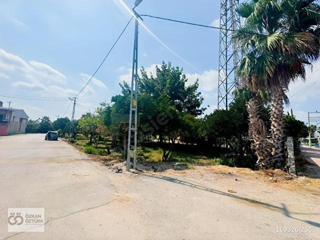Mıdık Mahallesi, Seyhan içerisinde satılık mülk