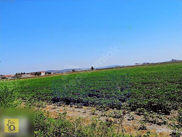 Foça, İzmir içerisinde satılık Arsa