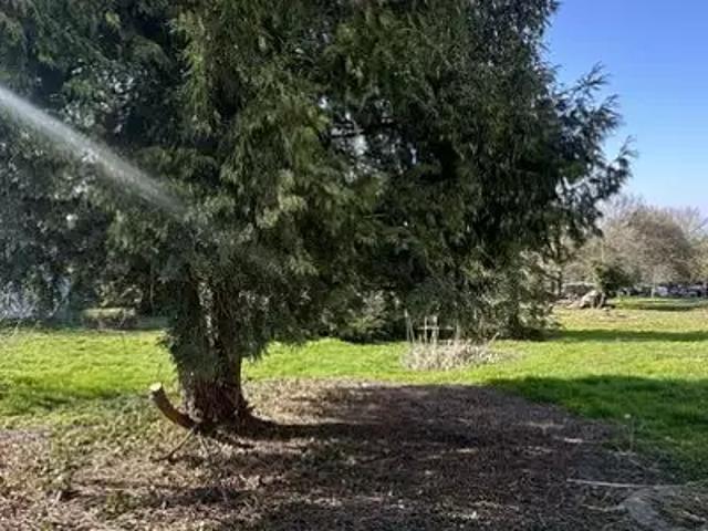 Terrain vente à Torcy, Ozoir-la-ferrière