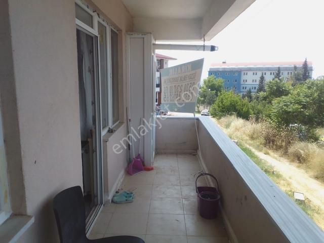 Edirne Merkez, Edirne içerisinde kiralık mülk