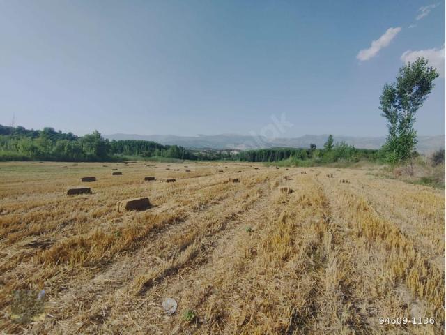 Gedik, Mut içerisinde satılık Arsa