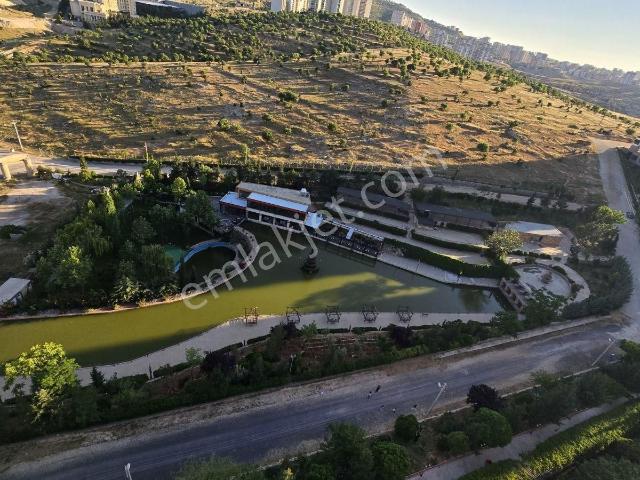 Mardin Merkez, Mardin içerisinde kiralık mülk