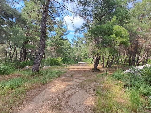 Menderes, İzmir içerisinde satılık Arsa