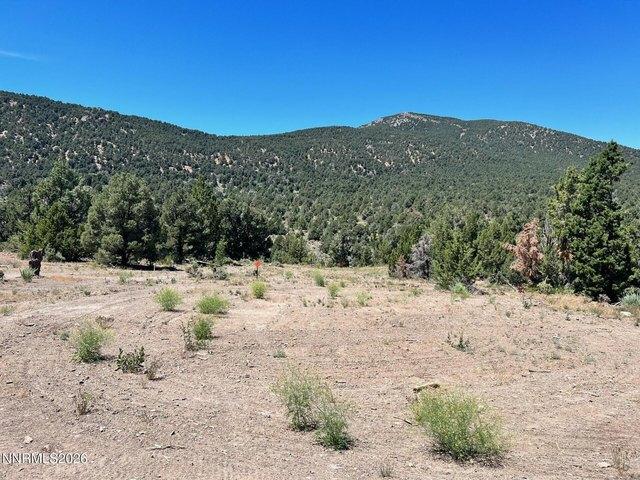 Land for sale in Nevada