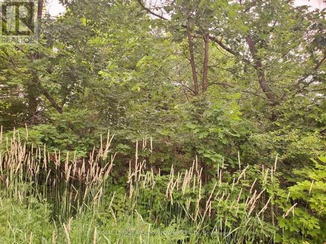 Land for sale in Byng Inlet, Ontario