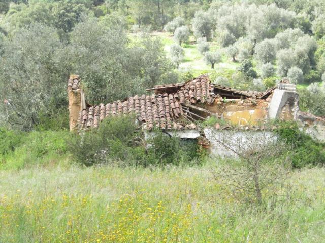 Quinta venda em Abrantes, Santarém