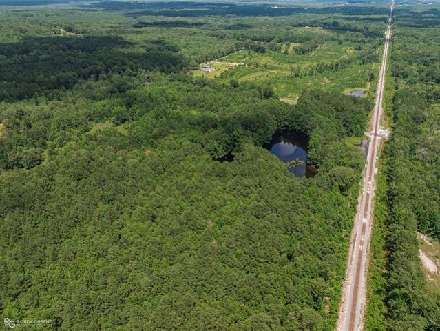 Land for sale in Dubberly, Louisiana