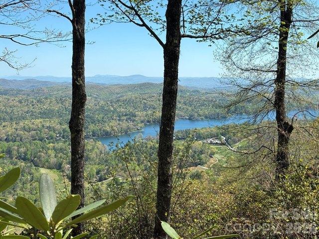 Land for sale in Transylvania, North Carolina