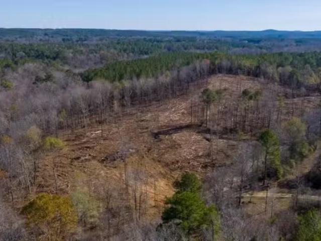 House for rent in Jasper, Alabama
