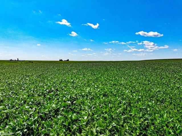 Farm for sale in Maynard, Iowa