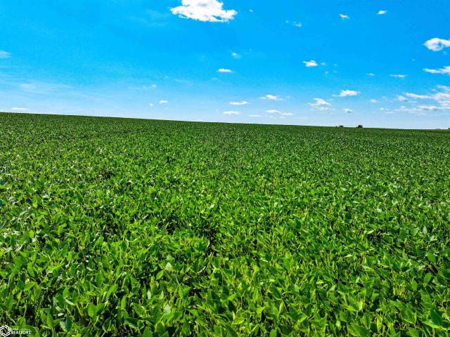 Farm for sale in Maynard, Iowa