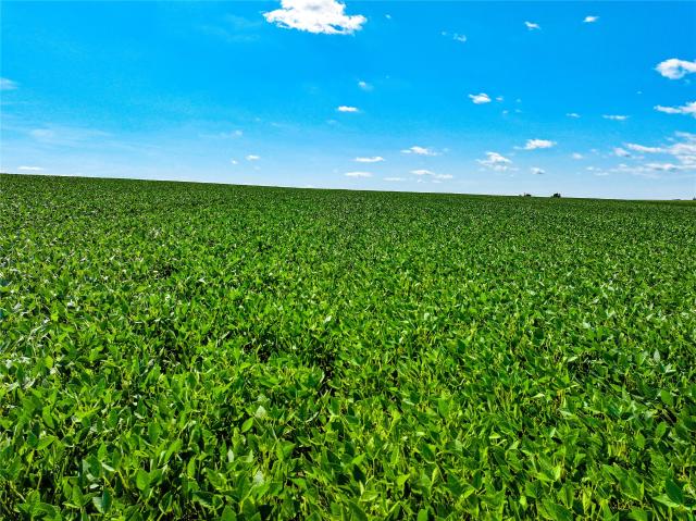 Land for sale in Maynard, Iowa