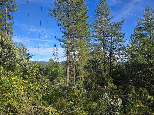 Land for sale in Colfax, California