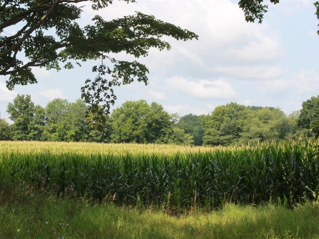 Land for sale in Michigan