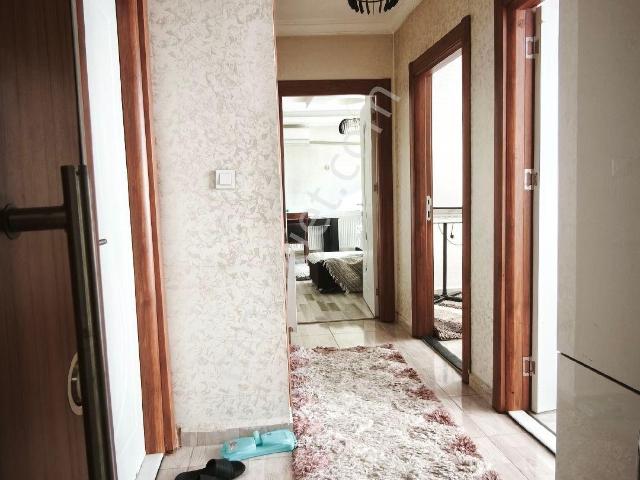 Batman Merkez, Batman içerisinde kiralık mülk
