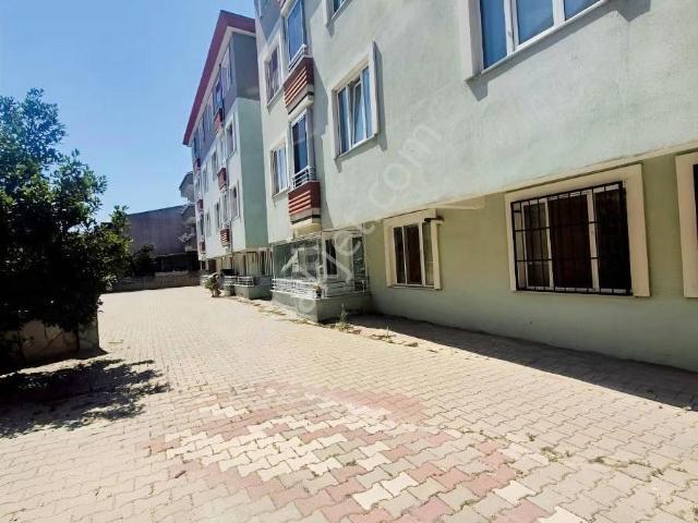 Perşembe Pazarı, Bandırma içerisinde kiralık mülk
