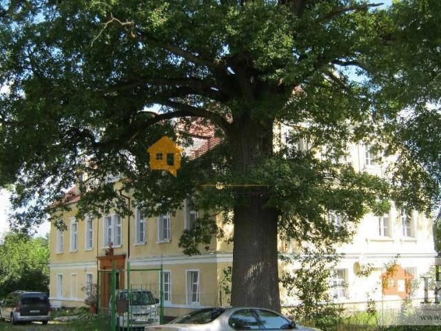 Mieszkanie do wynajęcia w Miłkowice, Dolnośląskie