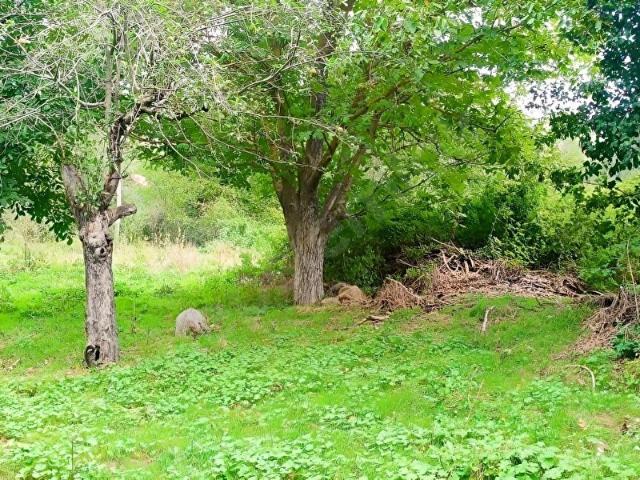 Havza, Samsun içerisinde satılık Arsa