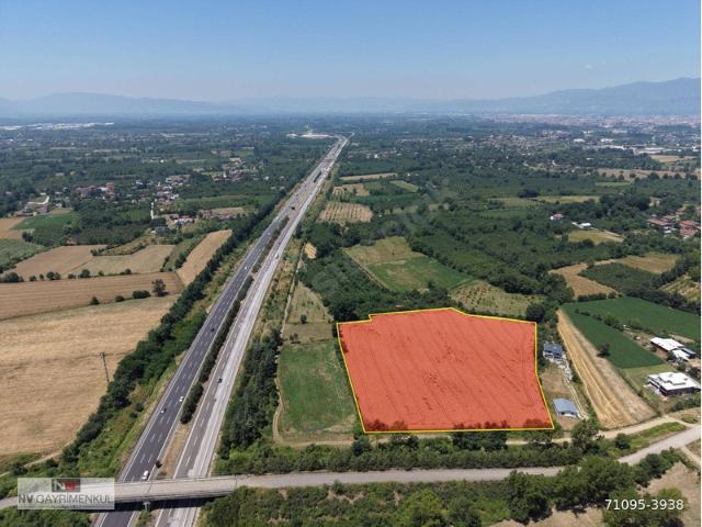 Paşaormanı, Düzce Merkez içerisinde satılık Arsa