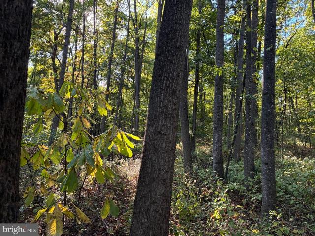 Land for sale in Martinsburg, Berkeley County
