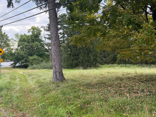 Land for sale in Craigs Meadow, Smithfield Township