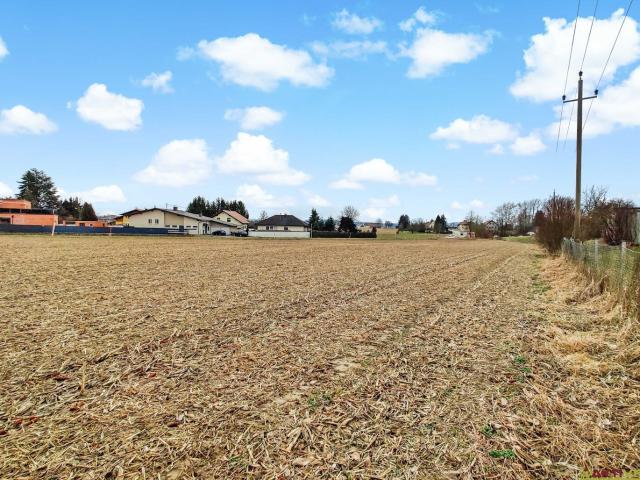 Grundstück mieten in Suben, Oberösterreich