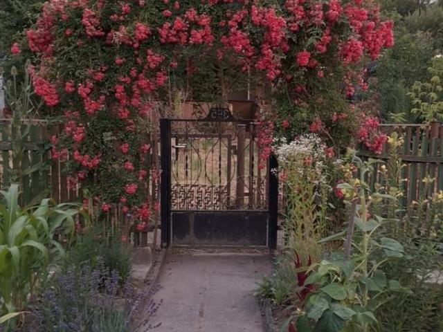 Erdgeschosswohnung mieten in Böhlitz-Ehrenberg, Leipzig