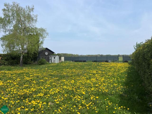 Haus kaufen in Neufeld an der Leitha, Burgenland