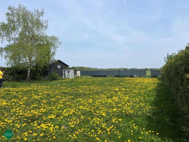 Haus kaufen in Neufeld an der Leitha, Burgenland