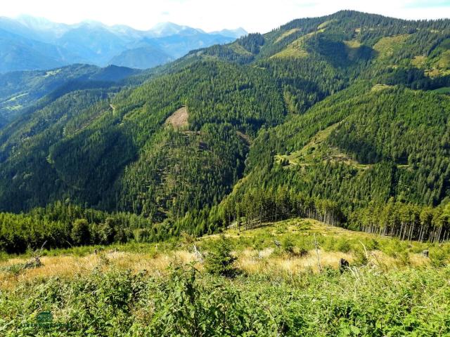 Landwirtschaft mieten in Irdning, Irdning-Donnersbachtal