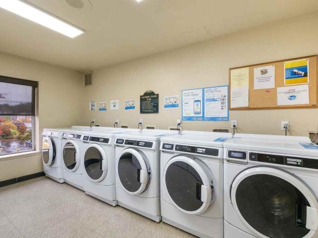 Apartment for rent in Bellevue, Washington